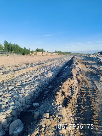 內(nèi)蒙古PA6包塑400絲鉛絲網(wǎng)卷