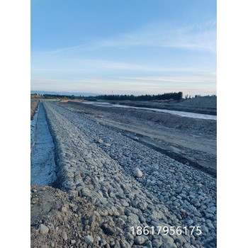 漢沽鉛絲石籠網(wǎng)定制