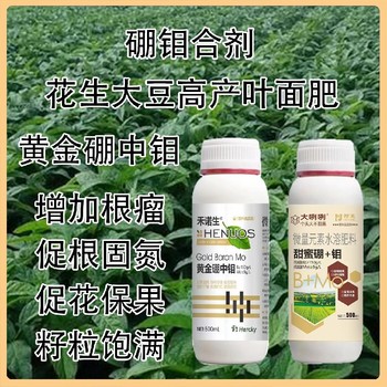 花生用高濃縮硼鉬合劑是么時間用,為峰肥業廠家批發招商