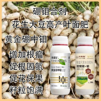 花生用高活性硼鉬合劑使用時間,為峰肥業(yè)廠家批發(fā)招商