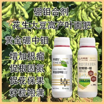花生用螯合硼鉬合劑是么時(shí)間用,為峰肥業(yè)廠家批發(fā)招商