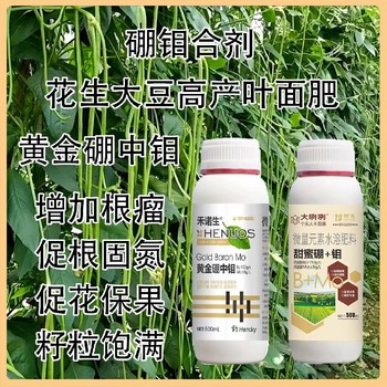 花生用螯合硼鉬合劑是么時(shí)間用,為峰肥業(yè)廠家批發(fā)招商