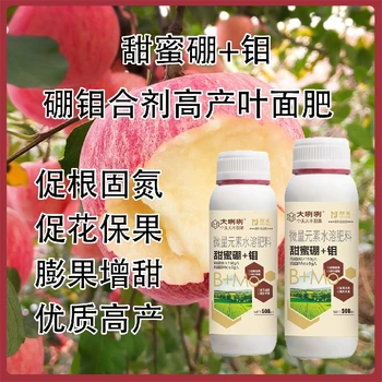 大豆用高濃縮硼鉬合劑價(jià)格,為峰肥業(yè)廠家批發(fā)招商