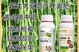 螯合硼肥高濃縮硼鉬合劑招商電話,為峰肥業(yè)廠家批發(fā)招商