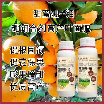 螯合鉬肥促進根瘤菌硼鉬合劑招商,為峰肥業(yè)廠家批發(fā)招商