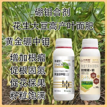 花生用高濃縮硼鉬合劑是么時間用,為峰肥業廠家批發招商