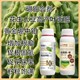 硼鉬合劑使用時間圖