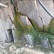 澤州縣跌水瀑布假山多少錢一個(gè)平方圖