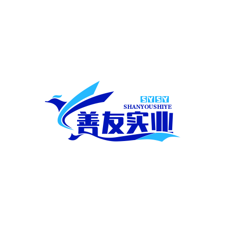 上海善友实业有限公司