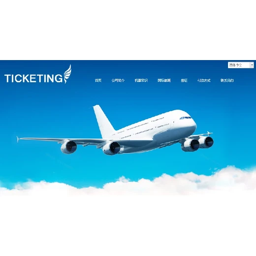 阿拉善盟電腦版網(wǎng)站模板建站設(shè)置流程,軟件開(kāi)發(fā)定制,海鷗建站