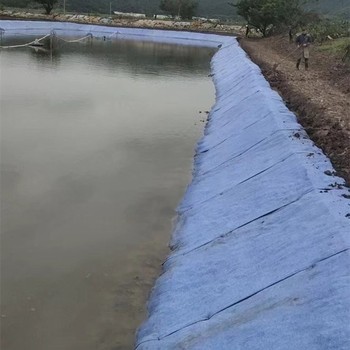 廠(chǎng)家10公斤水泥毯規(guī)格信陽(yáng)人工湖泊水景施工