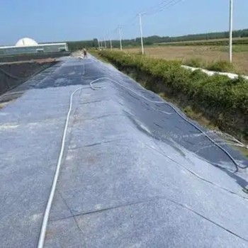 10公斤水泥毯鄭州混凝土水泥毯定制