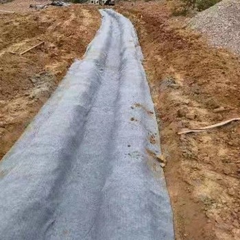 洛陽市水泥毯洛陽市水泥毯價格_洛陽市水泥毯報價