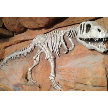 吉安化石現(xiàn)金交易現(xiàn)金上門收購化石電話