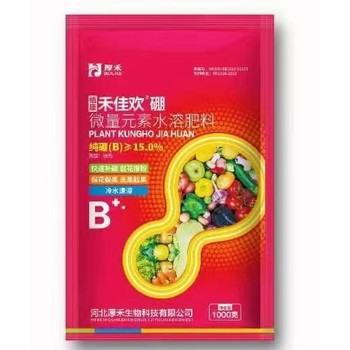 高含量液體硼硼肥怎么用,子硼肥廠家
