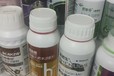 高比重液體鈣鈣肥批發(fā),為峰肥業(yè)鰲合鈣肥廠家批發(fā)