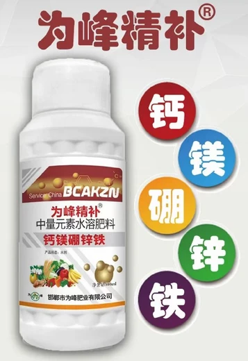 高含量顆粒硼硼肥多少錢(qián),子硼肥廠家