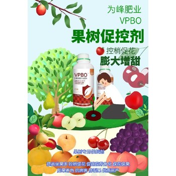 蘋(píng)果預防大小年果樹(shù)促控劑不同,果樹(shù)控梢促花劑招商