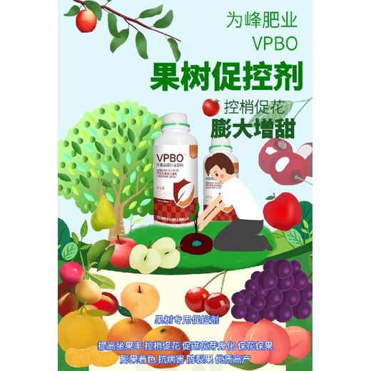 櫻桃預(yù)防大小年果樹促控劑批發(fā),果樹控梢促花劑招商