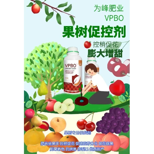 果樹預(yù)防大小年果樹促控劑區(qū)別,為峰肥業(yè)vpbo廠家批發(fā)