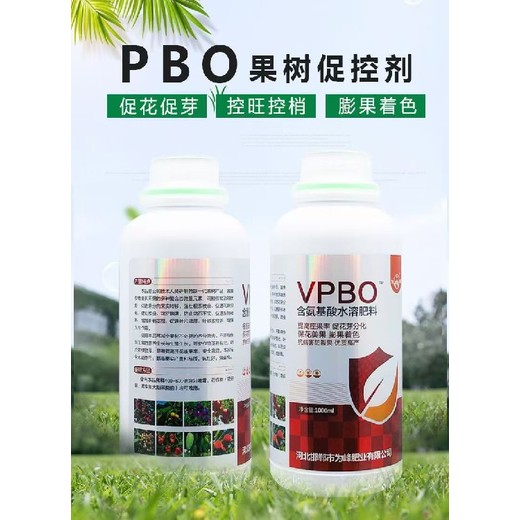 柑橘控旺控梢果樹促控劑批發(fā),果樹控梢促花劑招商