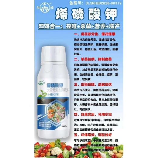 櫻桃促進(jìn)花芽分化果樹促控劑招商,為峰肥業(yè)vpbo廠家批發(fā)