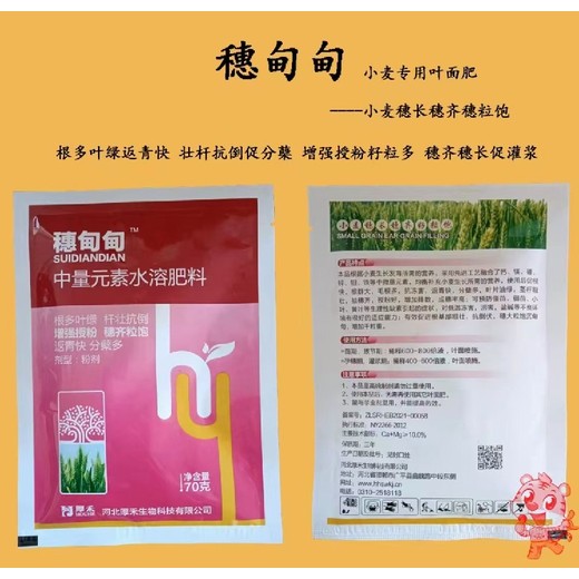 柯杈多小胖墩小麥葉面肥肥料,小麥高產(chǎn)葉面肥定做加工