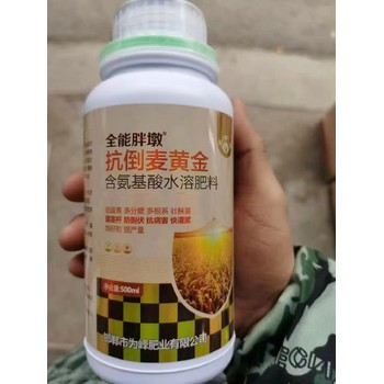 柯杈多糧滿倉小麥葉面肥肥料,小麥高產(chǎn)葉面肥定做加工