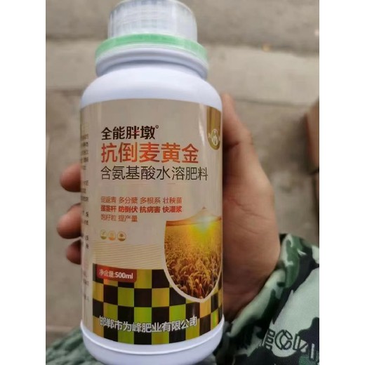 柯杈多金滿(mǎn)倉小麥葉面肥怎么使用,為峰肥業(yè)廠(chǎng)家批發(fā)