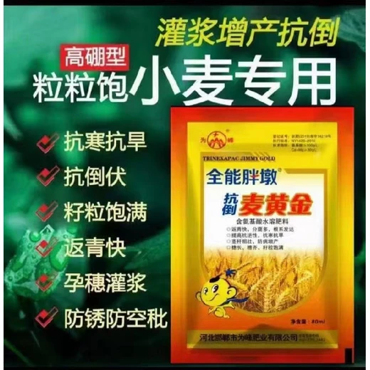 柯杈多糧滿倉小麥葉面肥功效,小麥高產(chǎn)葉面肥定做加工