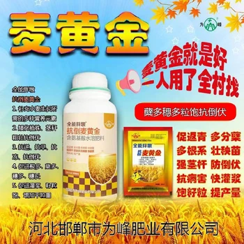 控旺抗倒糧滿倉(cāng)小麥葉面肥使用方法,小麥高產(chǎn)葉面肥定做加工