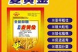 生根壯苗為峰肥業(yè)小麥葉面肥招商,小麥高產(chǎn)葉面肥定做加工