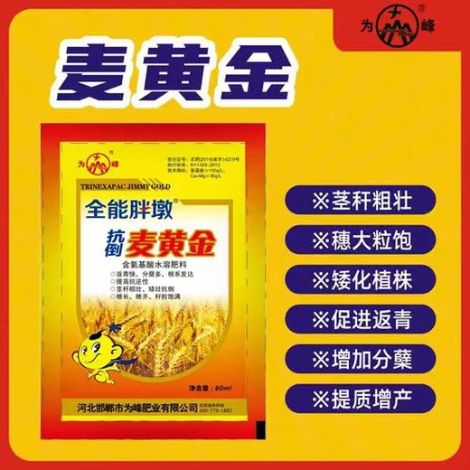 增強(qiáng)光合作用金滿倉小麥葉面肥用法用量,小麥高產(chǎn)葉面肥定做加工