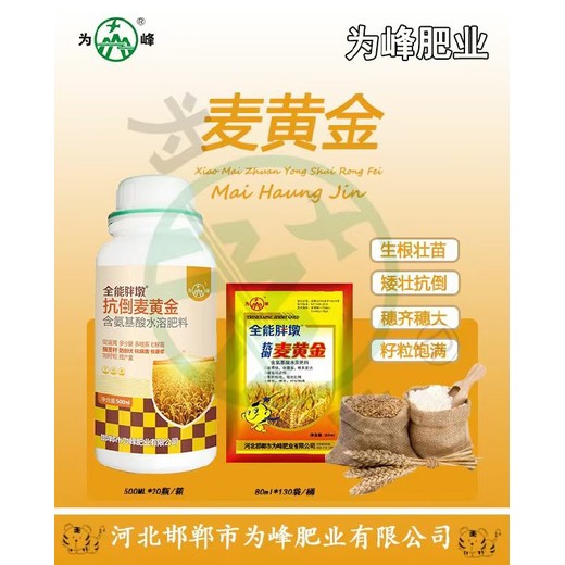 增強光合作用為峰肥業(yè)小麥葉面肥增產劑,為峰肥業(yè)廠家批發(fā)
