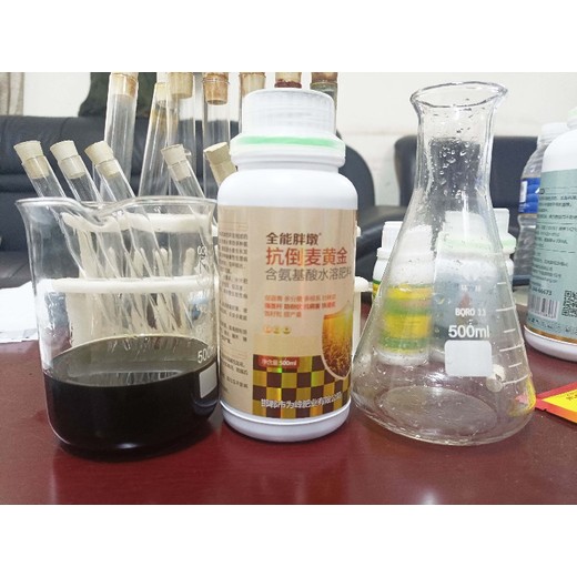 生根壯苗胖墩小麥葉面肥代理,小麥高產(chǎn)葉面肥定做加工