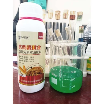 促進分蘗胖墩小麥葉面肥招商,小麥高產(chǎn)葉面肥定做加工