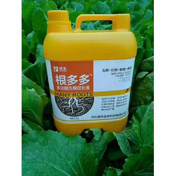 根旺苗壯倍生根生根劑一畝地用多少,為峰肥業(yè)廠家