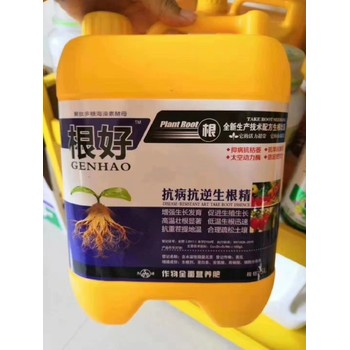 促進生根爆根素生根劑生產(chǎn)廠家,為峰肥業(yè)廠家