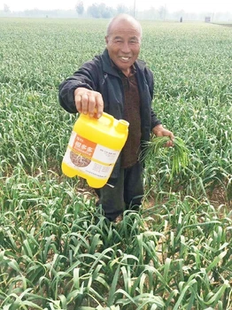 根旺苗壯爆根素生根劑噴施時間,為峰肥業(yè)廠家