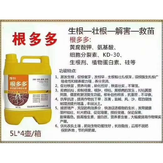 根系發(fā)達多生根生根劑排名,為峰肥業(yè)廠(chǎng)家
