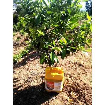 根多根旺速生根生根劑排名,為峰肥業(yè)廠家