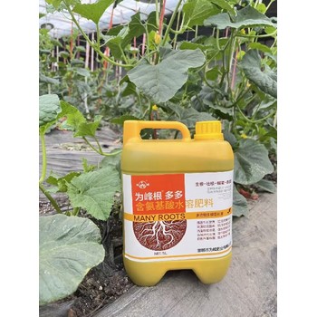 生根壯苗生根粉生根劑產(chǎn)量高,為峰肥業(yè)廠家