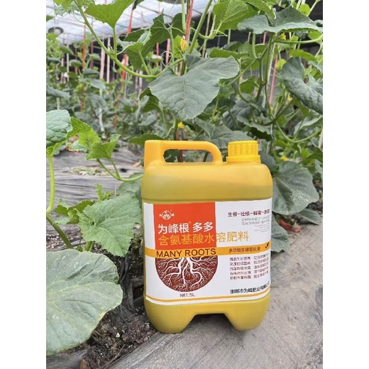 促進(jìn)生根倍生根生根劑多少錢,為峰肥業(yè)廠家