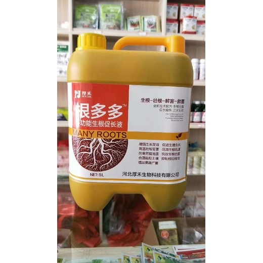 根多根旺速生根生根劑怎么買,為峰肥業(yè)廠家