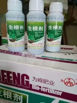 根旺苗壯爆根素生根劑噴施時間,為峰肥業(yè)廠家