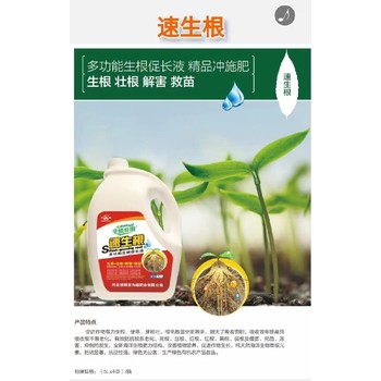 促進生根爆根素生根劑生產(chǎn)廠家,為峰肥業(yè)廠家