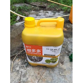 生根壯苗生根粉生根劑產(chǎn)量高,為峰肥業(yè)廠家