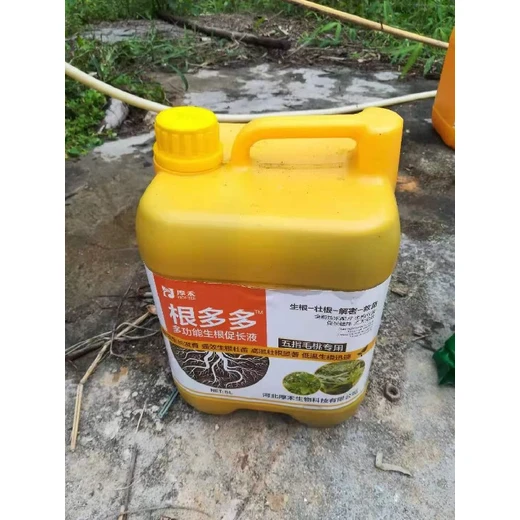 根旺苗壯多生根生根劑什么時間用,為峰肥業(yè)廠家