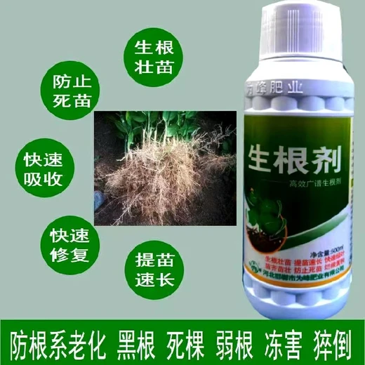 促進(jìn)生根根多壯生根劑產(chǎn)量高,為峰肥業(yè)廠家