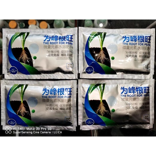 生根壯苗爆根素生根劑功效,為峰肥業(yè)廠家